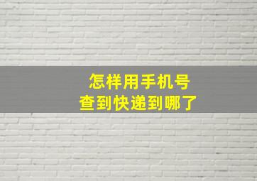 怎样用手机号查到快递到哪了