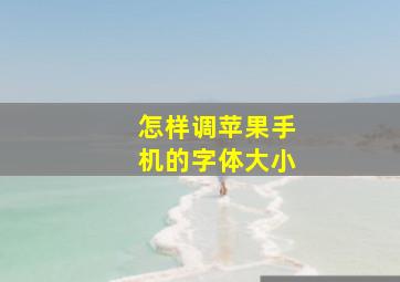 怎样调苹果手机的字体大小