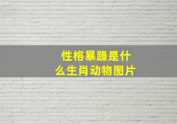 性格暴躁是什么生肖动物图片