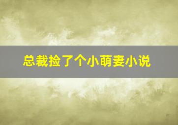 总裁捡了个小萌妻小说