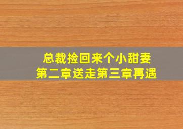 总裁捡回来个小甜妻第二章送走第三章再遇