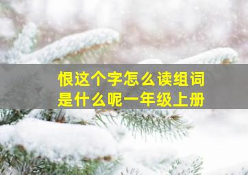 恨这个字怎么读组词是什么呢一年级上册