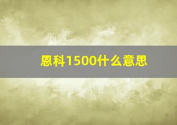 恩科1500什么意思