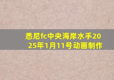 悉尼fc中央海岸水手2025年1月11号动画制作