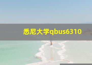 悉尼大学qbus6310