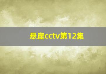 悬崖cctv第12集