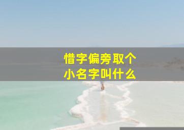 惜字偏旁取个小名字叫什么