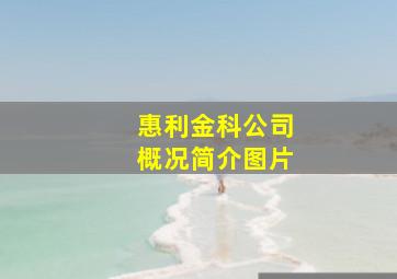 惠利金科公司概况简介图片