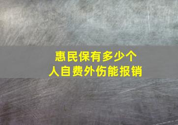 惠民保有多少个人自费外伤能报销