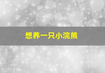 想养一只小浣熊