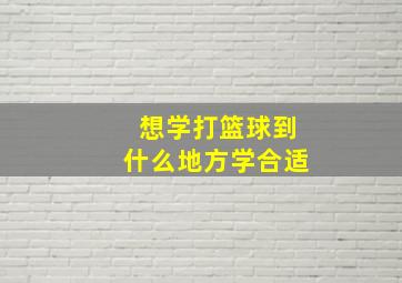 想学打篮球到什么地方学合适