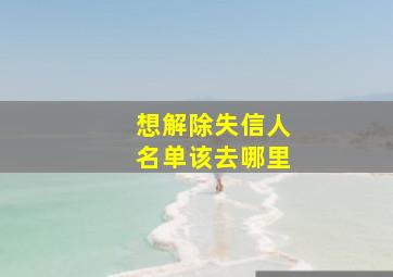 想解除失信人名单该去哪里