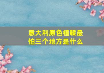 意大利原色植鞣最怕三个地方是什么