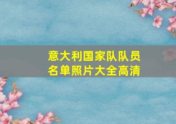 意大利国家队队员名单照片大全高清