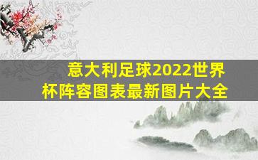 意大利足球2022世界杯阵容图表最新图片大全