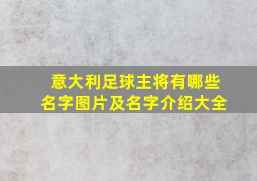 意大利足球主将有哪些名字图片及名字介绍大全