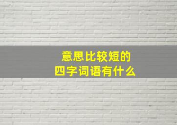 意思比较短的四字词语有什么