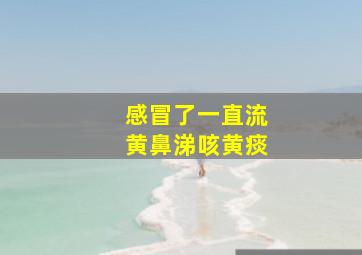 感冒了一直流黄鼻涕咳黄痰