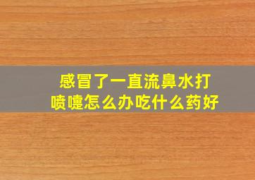 感冒了一直流鼻水打喷嚏怎么办吃什么药好