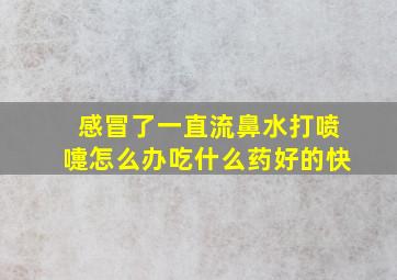 感冒了一直流鼻水打喷嚏怎么办吃什么药好的快