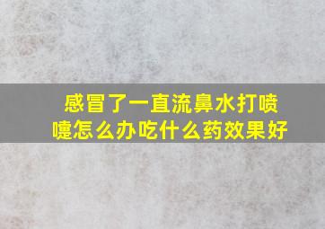 感冒了一直流鼻水打喷嚏怎么办吃什么药效果好