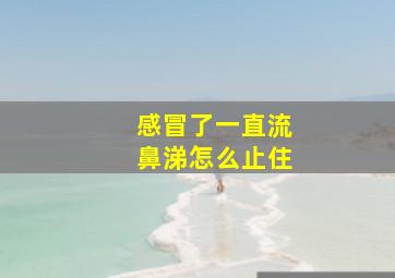 感冒了一直流鼻涕怎么止住