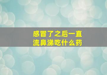 感冒了之后一直流鼻涕吃什么药