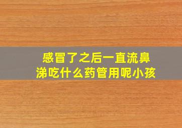 感冒了之后一直流鼻涕吃什么药管用呢小孩