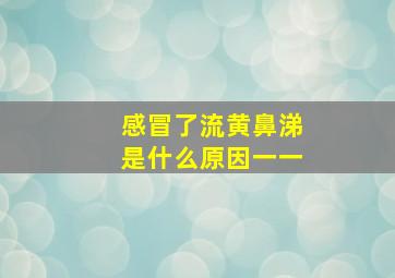 感冒了流黄鼻涕是什么原因一一