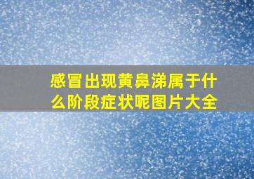 感冒出现黄鼻涕属于什么阶段症状呢图片大全