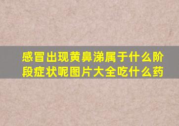 感冒出现黄鼻涕属于什么阶段症状呢图片大全吃什么药