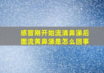 感冒刚开始流清鼻涕后面流黄鼻涕是怎么回事