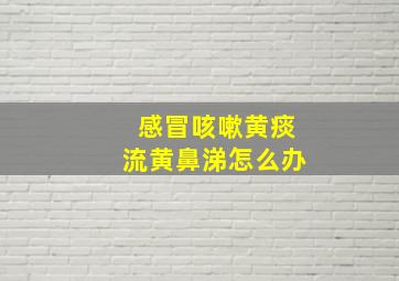 感冒咳嗽黄痰流黄鼻涕怎么办