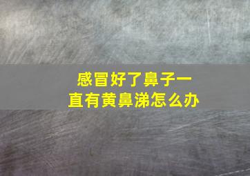 感冒好了鼻子一直有黄鼻涕怎么办