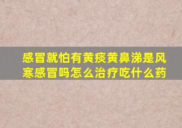 感冒就怕有黄痰黄鼻涕是风寒感冒吗怎么治疗吃什么药