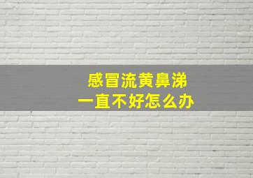 感冒流黄鼻涕一直不好怎么办