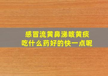 感冒流黄鼻涕咳黄痰吃什么药好的快一点呢