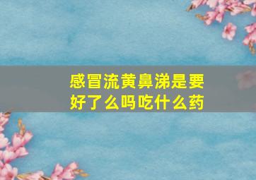 感冒流黄鼻涕是要好了么吗吃什么药