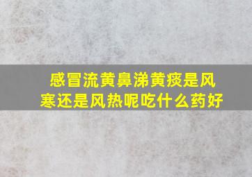 感冒流黄鼻涕黄痰是风寒还是风热呢吃什么药好