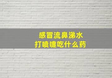 感冒流鼻涕水打喷嚏吃什么药