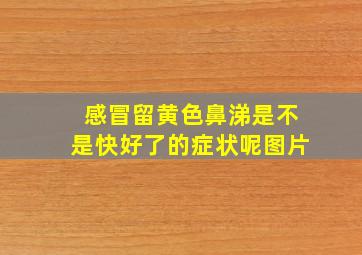 感冒留黄色鼻涕是不是快好了的症状呢图片