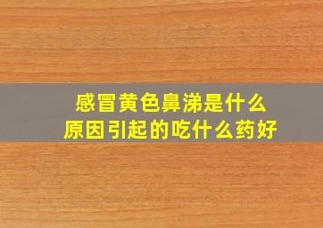 感冒黄色鼻涕是什么原因引起的吃什么药好