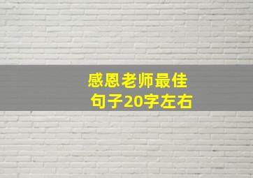 感恩老师最佳句子20字左右