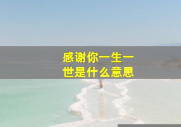 感谢你一生一世是什么意思