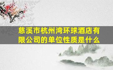 慈溪市杭州湾环球酒店有限公司的单位性质是什么