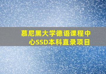 慕尼黑大学德语课程中心SSD本科直录项目