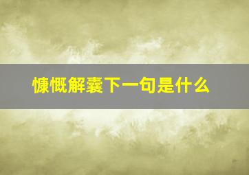 慷慨解囊下一句是什么