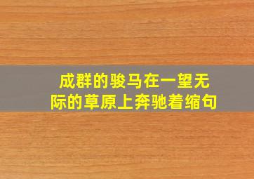 成群的骏马在一望无际的草原上奔驰着缩句