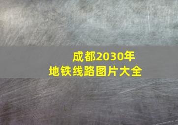 成都2030年地铁线路图片大全