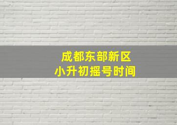 成都东部新区小升初摇号时间